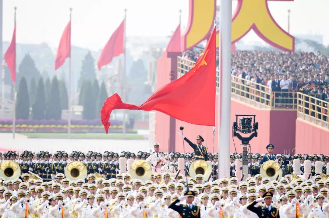 奥利维亚收养猫