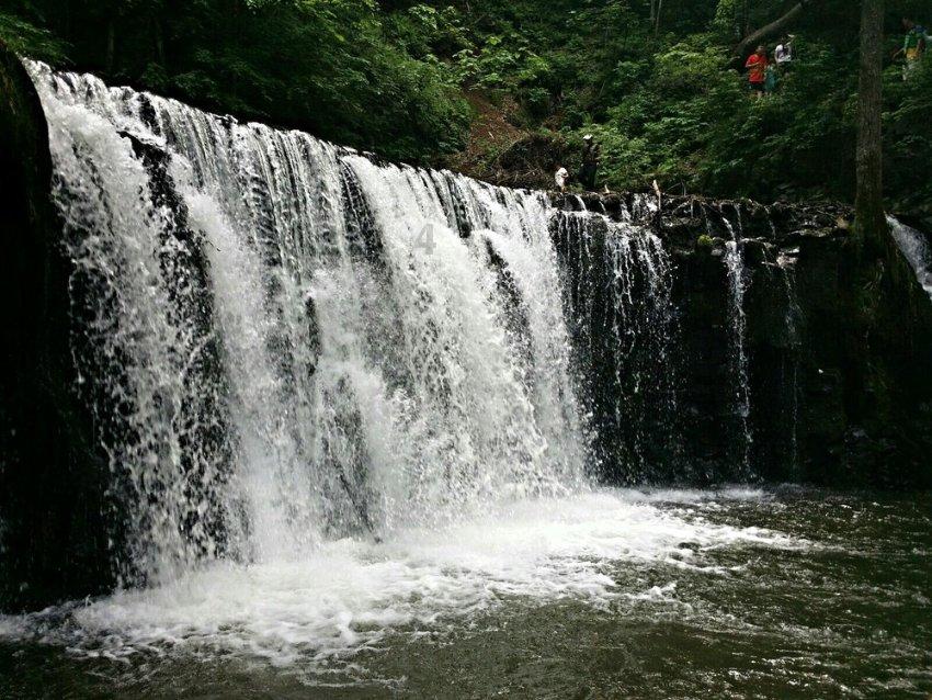 丛林森林逃生